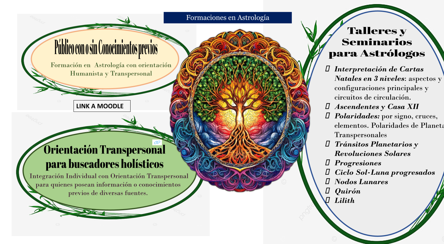Formaciones - slide 13